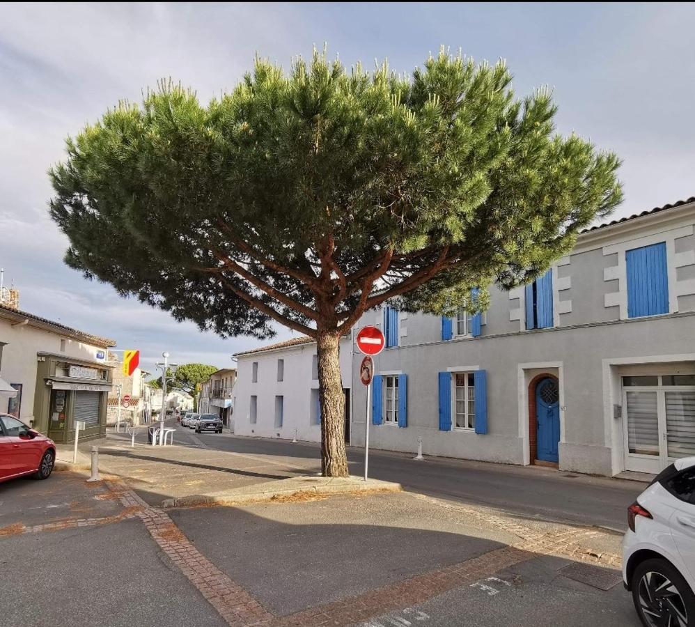 Charmant Appartement Dans Centre Meschers/Gironde Exteriér fotografie